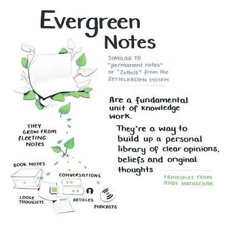 Evergreen Notes: come le evergreen notes di Andy Matuschak aiutano a costruire una personal knowledge library